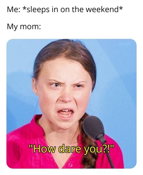 how dare you meme|how dare you meme girl.